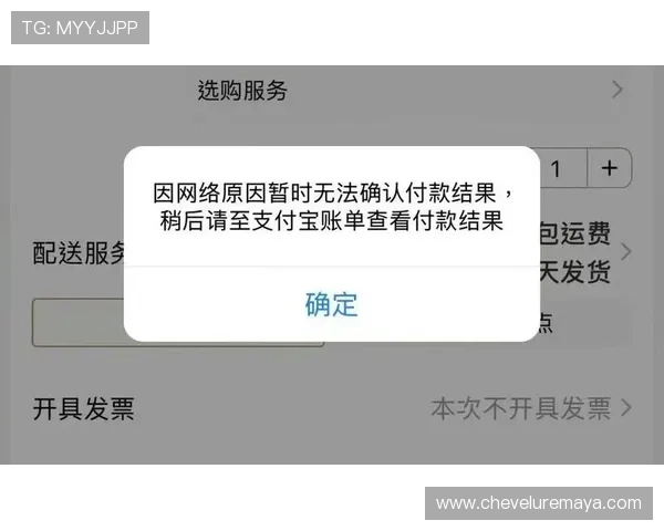 尊龙凯时客服快速处理提现与存款问题，确保资金安全及时到账