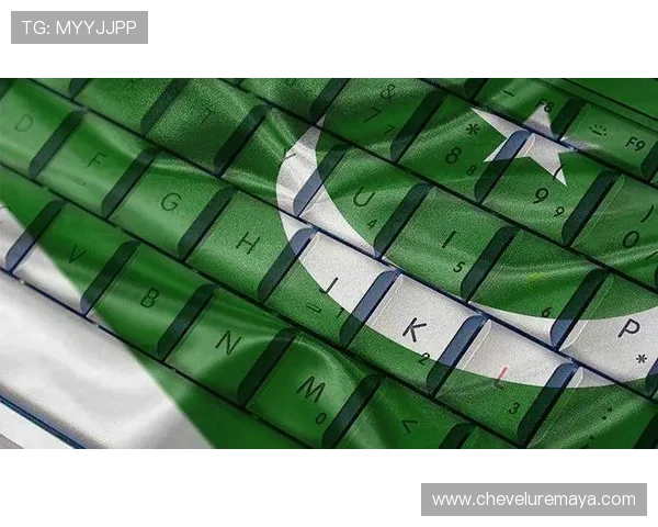 凯时在线注册平台如何利用社交媒体扩大品牌影响力