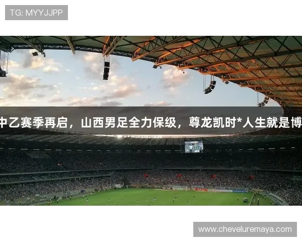 尊龙-人生就是博首页：如何利用游戏资源优化策略实现人生价值最大化