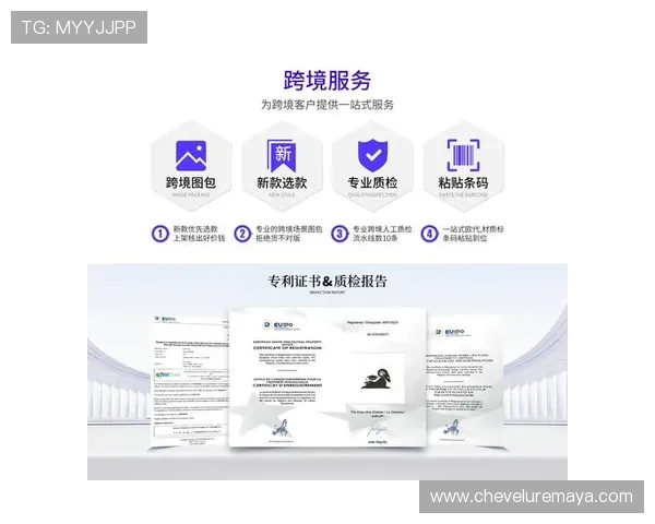 尊龙app网址最新入口地址安全性评估与用户体验优化