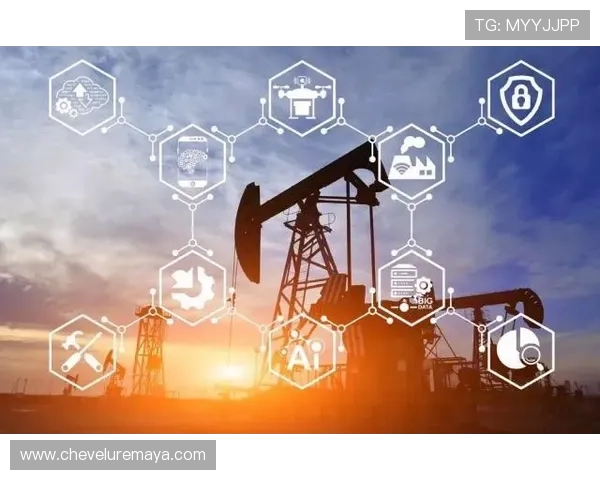 尊龙时凯中国集团未来发展规划与数字化转型路径分析