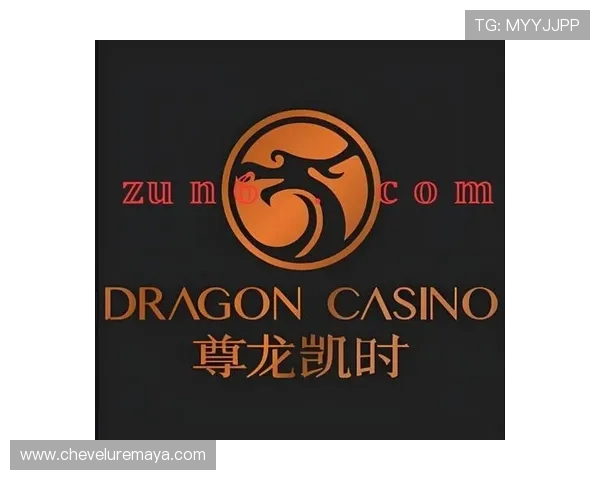 尊龙凯时数字站：如何利用平台提供的丰富资源实现个人收益最大化